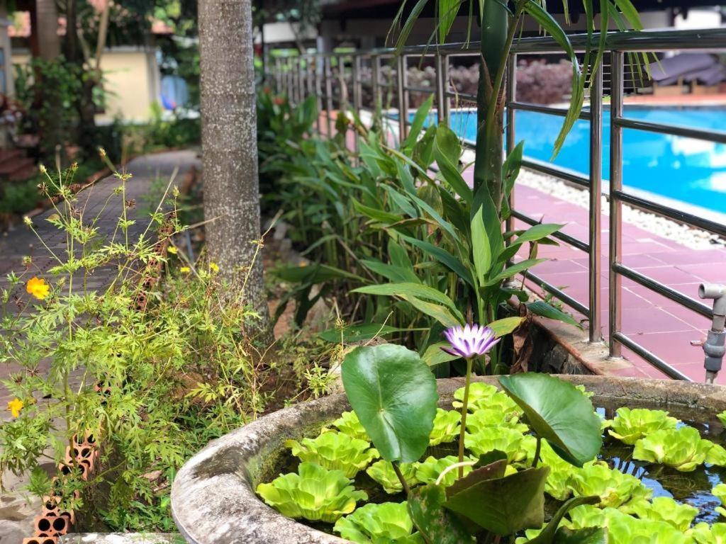 Castaways Resort 富国 外观 照片